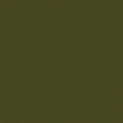BF781 OLIVE GREEN