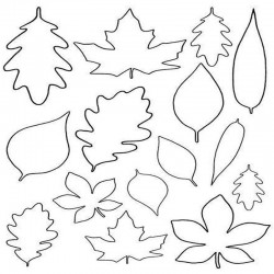 Cartamodello foglie miste